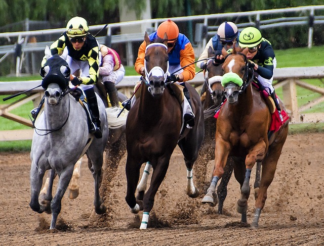 Horse racing derby